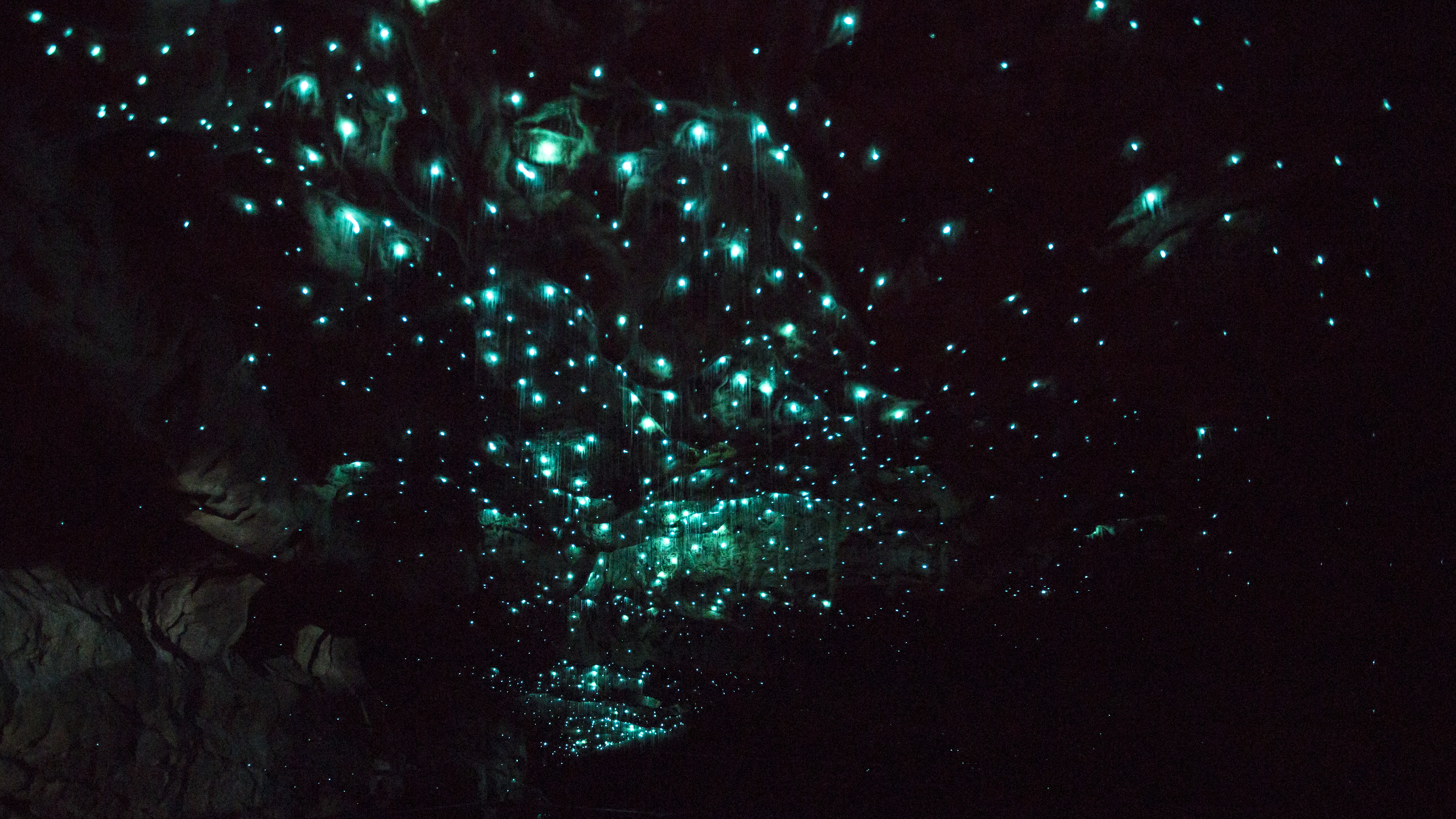 Пещера светлячков Вайтомо новая Зеландия гиф
