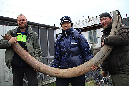The giant woolly mammoth lived more than 10,000 years ago