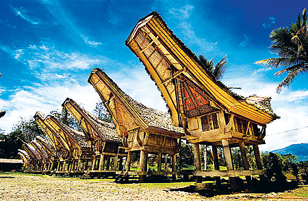The Makassar Toraja