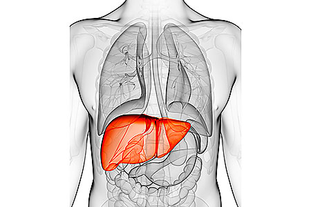 causes liver damage supplements symptoms prevention cure holland & barrett