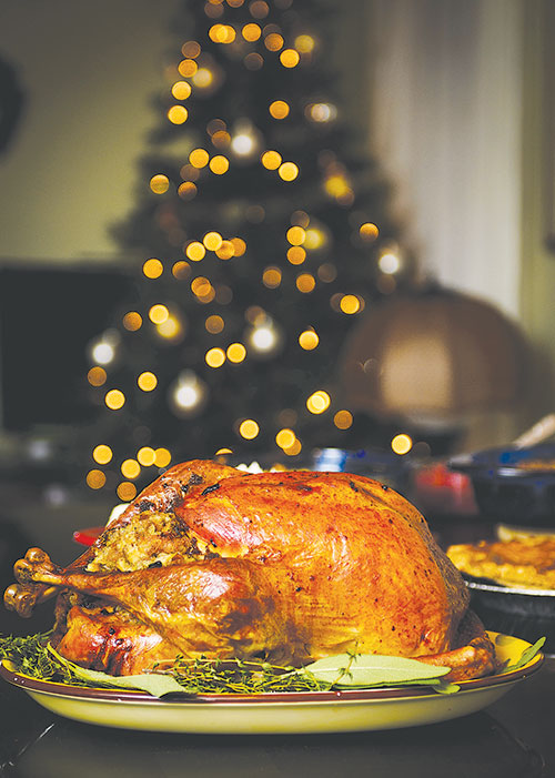 #63_food_X'masTurkey