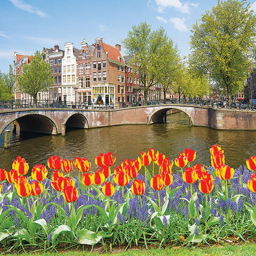 The new procedure will start with three flights a day from Amsterdam