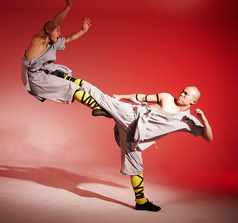 shaolin monks fighting