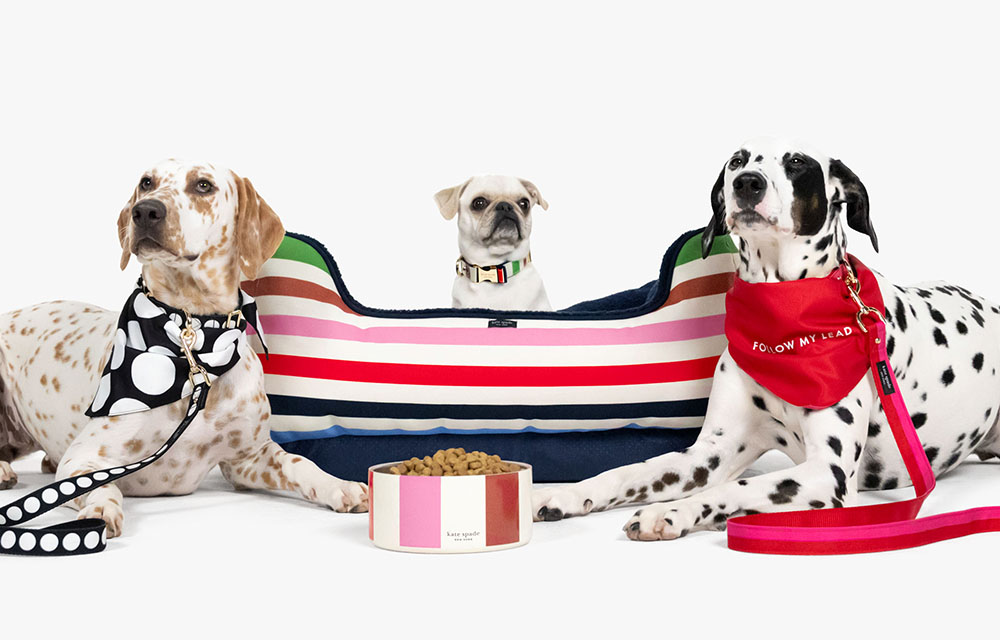 Kate Spade New York Adventure Stripe Dog Collar